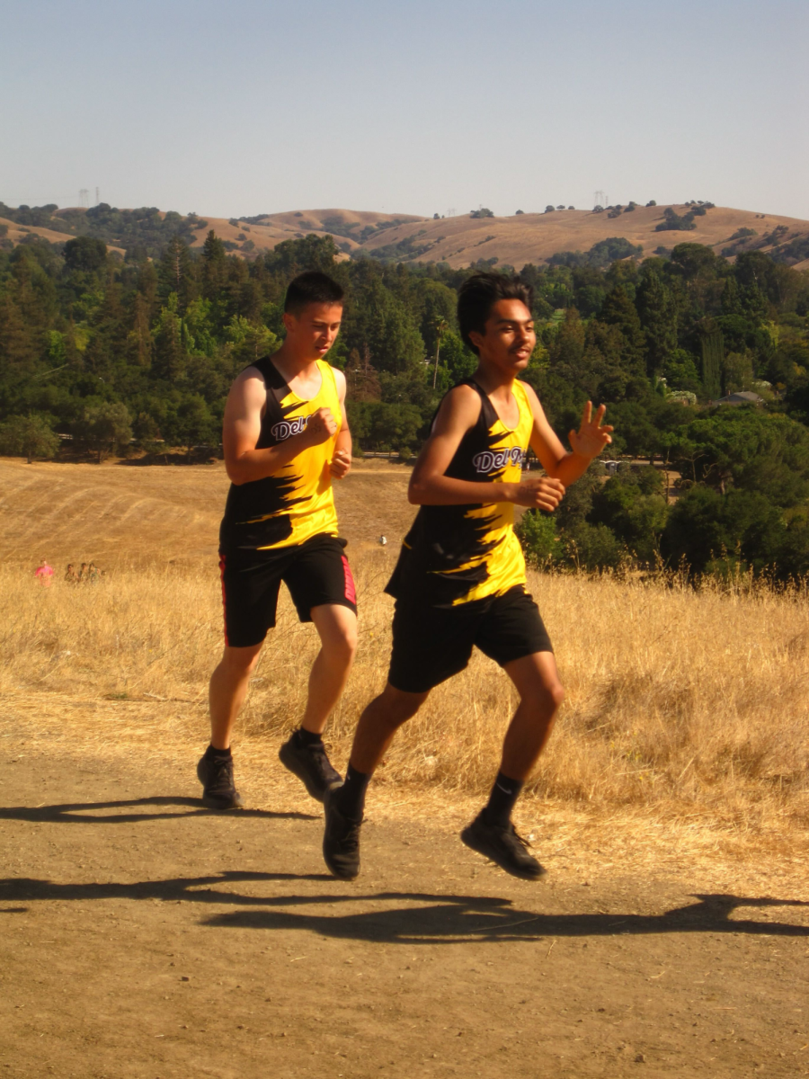 Cross country runner